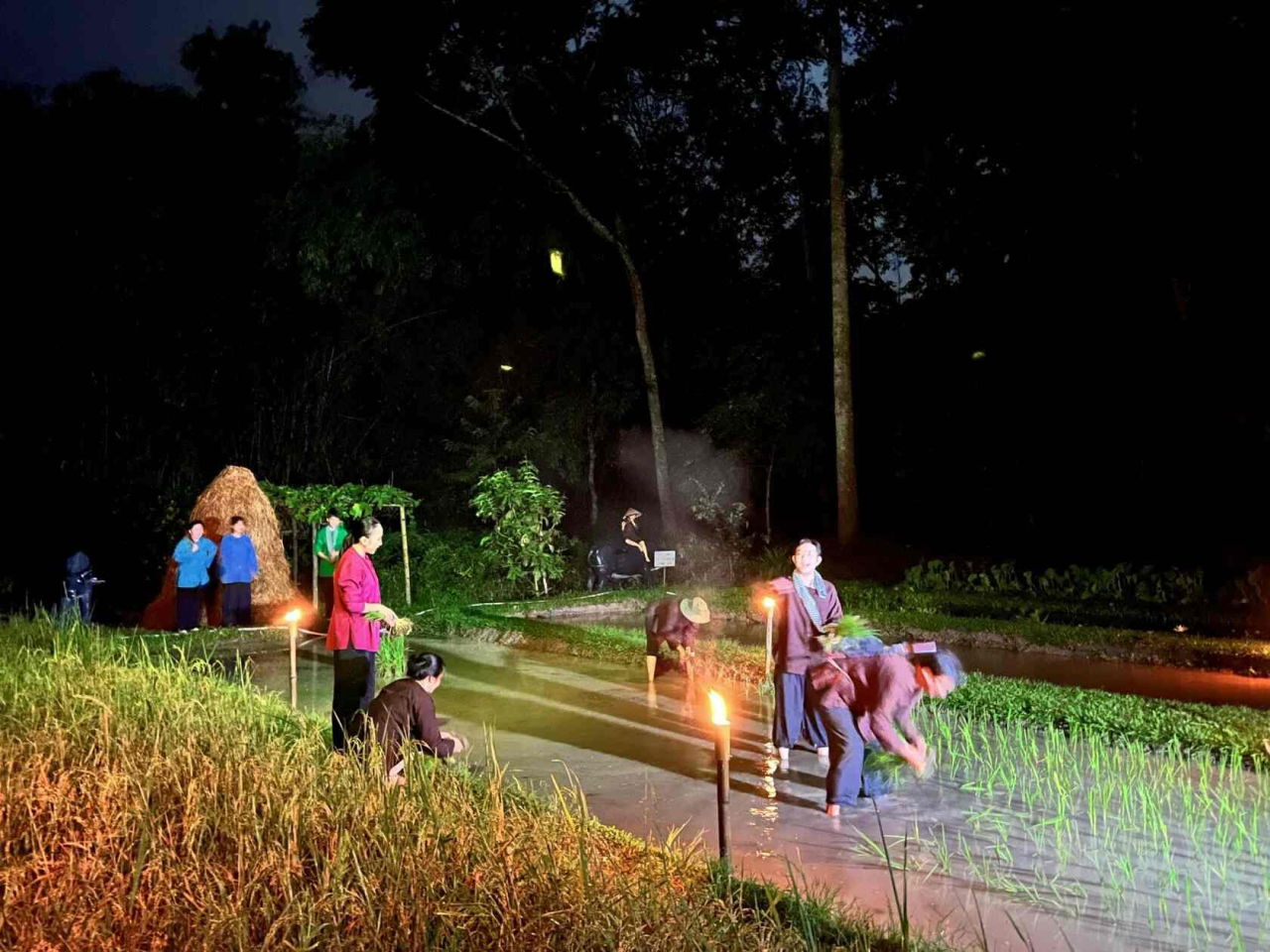 rustic lifestyle of the locals at Cu Chi Tunnels