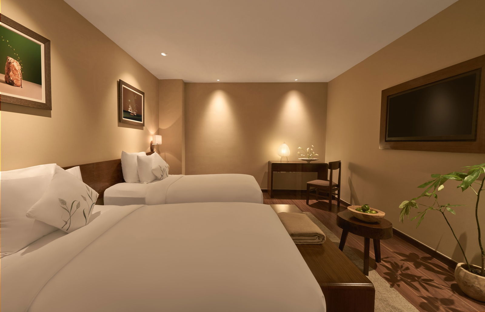 Serene Standard Serene Standard