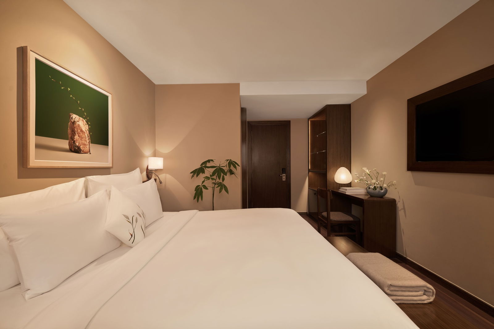 Solace Premier Solace Premier